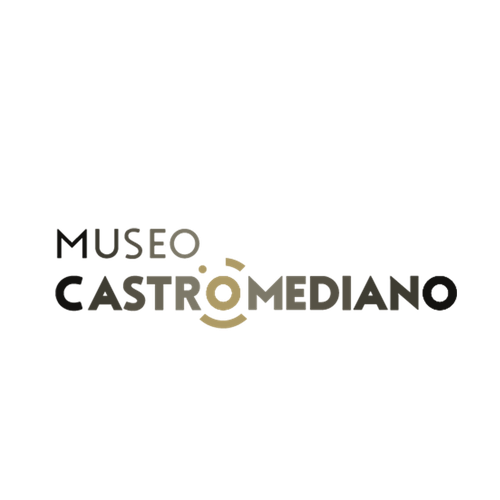 Museo Sigismondo Castromediano